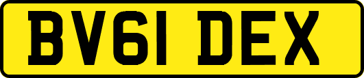 BV61DEX