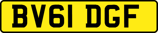 BV61DGF