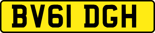 BV61DGH