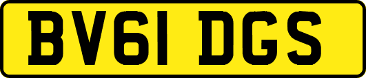 BV61DGS