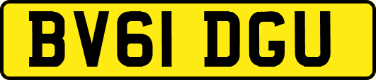 BV61DGU