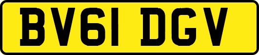 BV61DGV