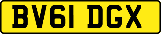 BV61DGX
