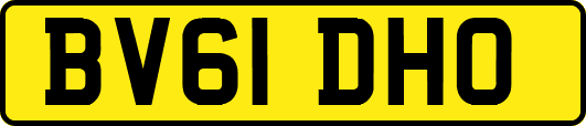 BV61DHO