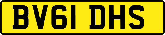 BV61DHS