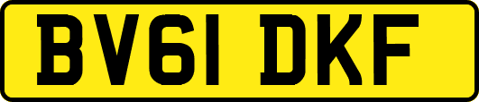 BV61DKF