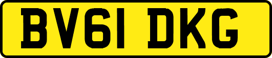 BV61DKG