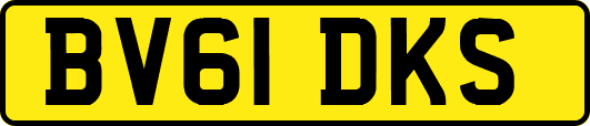 BV61DKS
