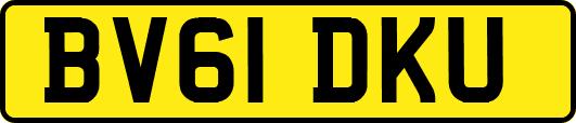 BV61DKU