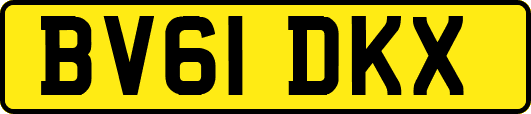 BV61DKX