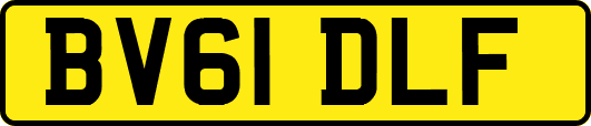 BV61DLF
