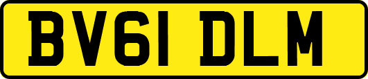 BV61DLM