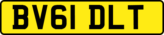 BV61DLT