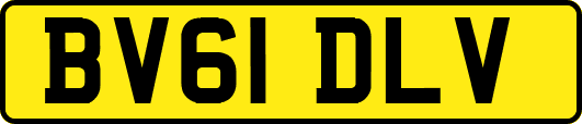 BV61DLV