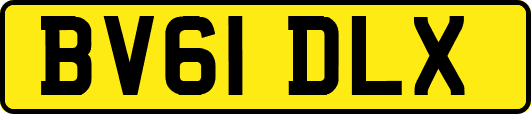 BV61DLX