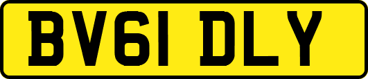 BV61DLY