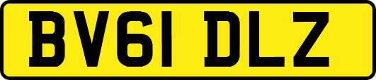 BV61DLZ