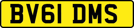 BV61DMS