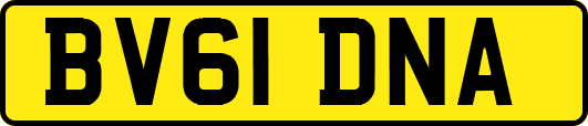 BV61DNA