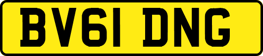 BV61DNG