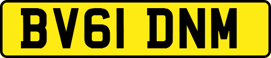 BV61DNM
