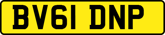 BV61DNP