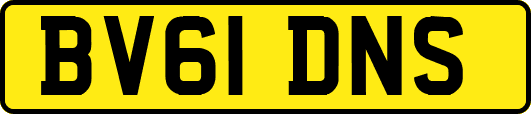 BV61DNS