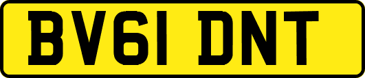 BV61DNT