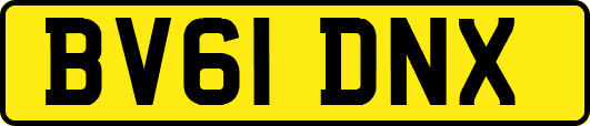 BV61DNX