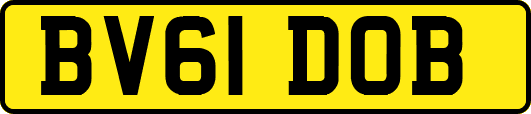 BV61DOB