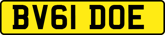 BV61DOE