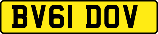 BV61DOV
