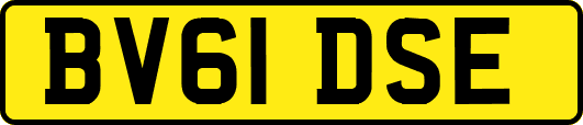 BV61DSE