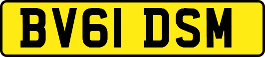 BV61DSM