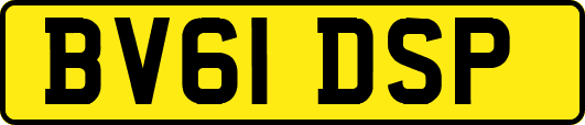 BV61DSP