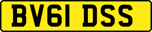 BV61DSS