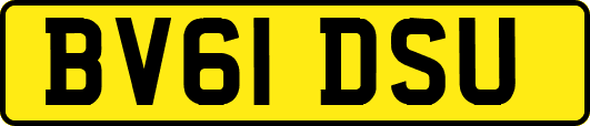 BV61DSU