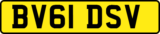 BV61DSV