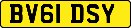 BV61DSY