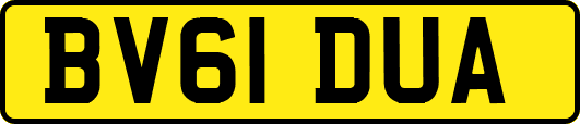 BV61DUA