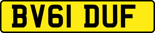 BV61DUF