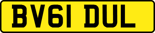 BV61DUL