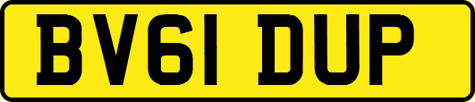 BV61DUP