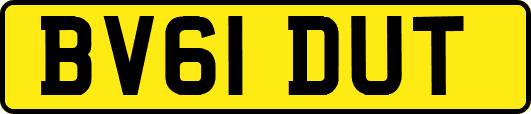 BV61DUT