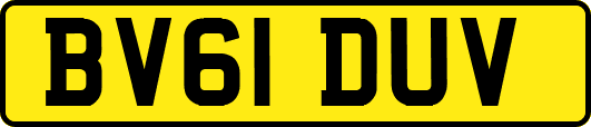 BV61DUV