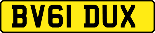 BV61DUX