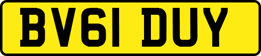 BV61DUY