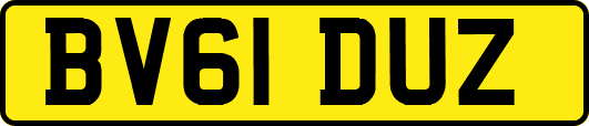 BV61DUZ