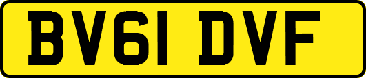 BV61DVF