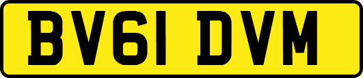 BV61DVM